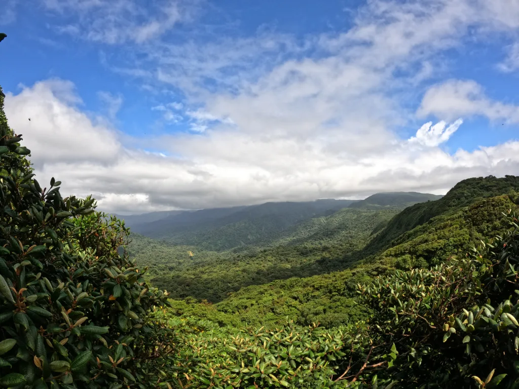 belleza natural de Monteverde
